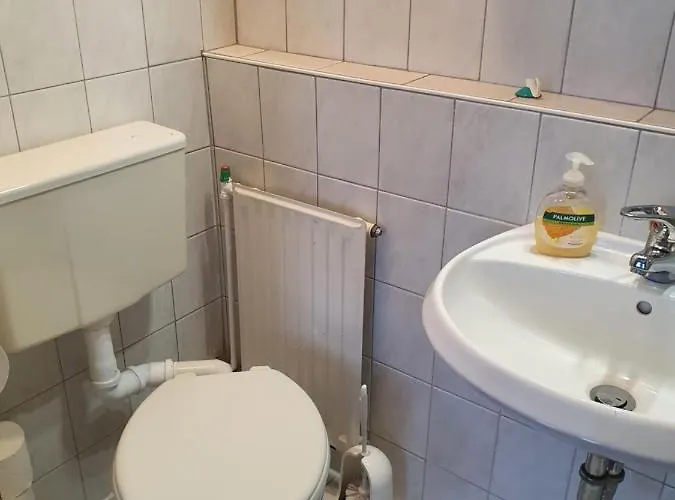 Edelweiss קורורט גוריש