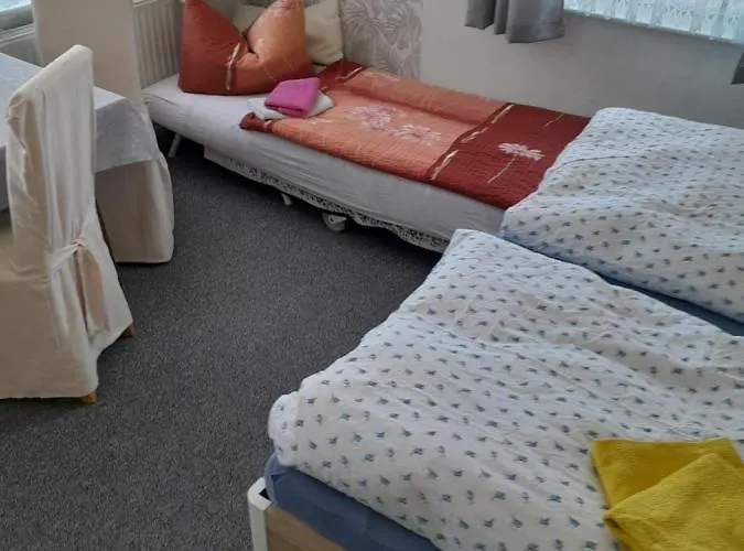 Edelweiss קורורט גוריש